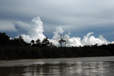 Clouds Above the Kinabatangan River