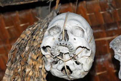 Skull (Head Hunting Ended in 1926)