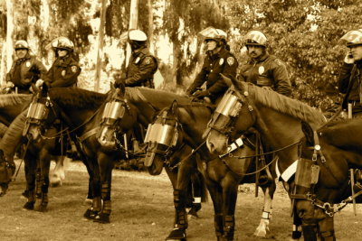 Horse Patrol