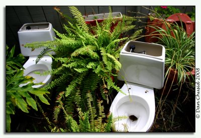 Toilets In The Wild
