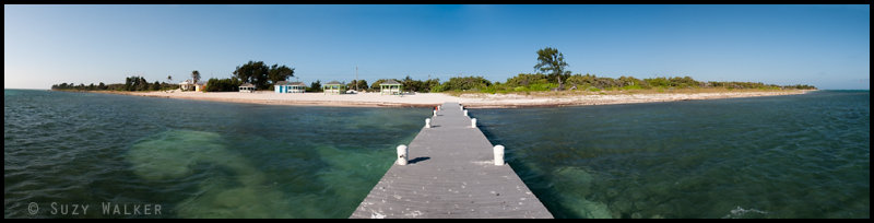 Tropical Panorama