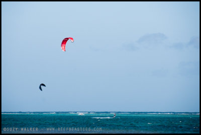 Kite Boarders