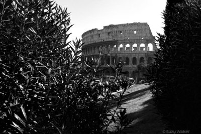 Coliseum (b/w)