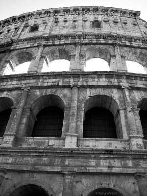 Coliseum (Looking up)
