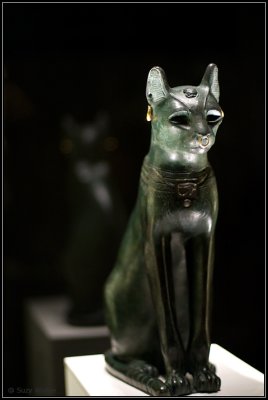 Egyptian Cat