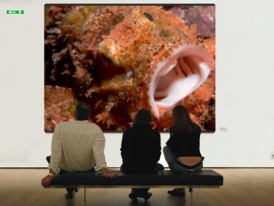 gallery1