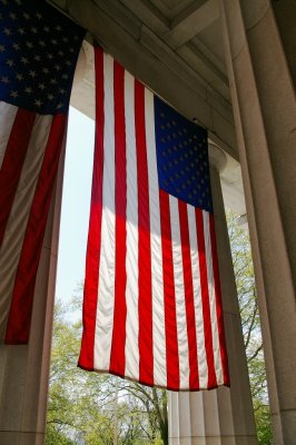 Flag, columns and sun