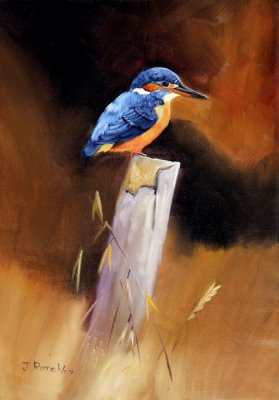 Small Blue Kingfisher