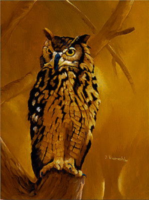 Great Horned Owl-oil