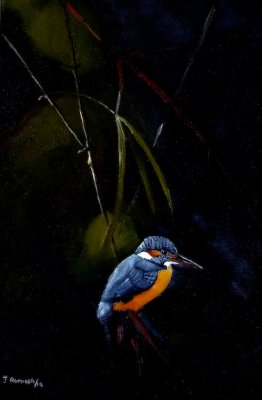 Small Blue Kingfisher-oil