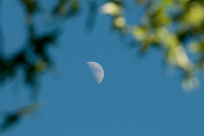 Half Moon