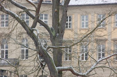 Schloss Werneck Im Schnee