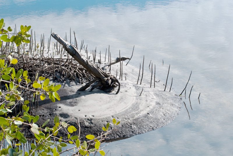 Interesting Shoreline