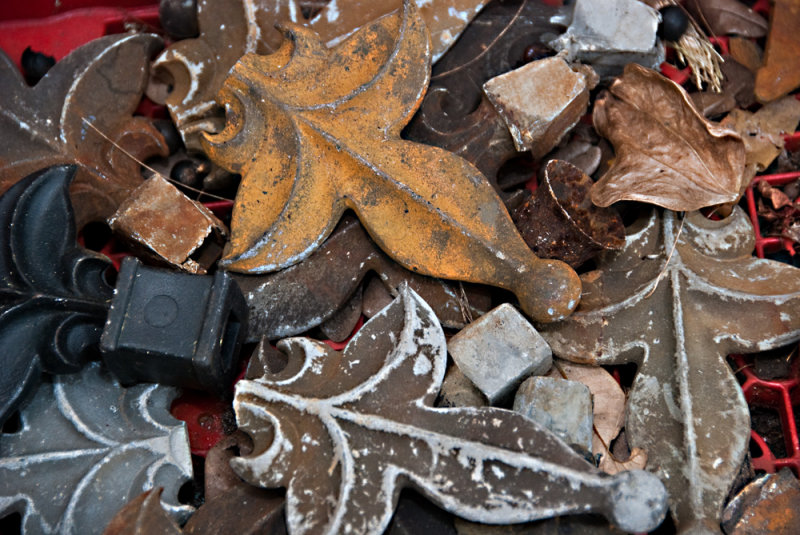 Leaves, real & iron