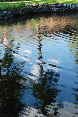 Pond Reflections.jpg