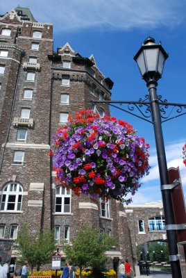 Lamp Florals.jpg