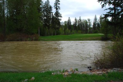 Par 3 - #16 hazzard.jpg