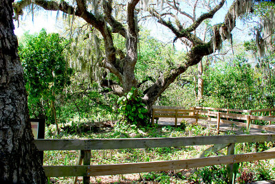 Emerson Point State Park - Snead Island FL