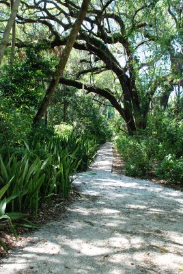 The trails are great, bedded with crushed shells