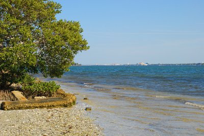 Beach - Bradenton in the distance