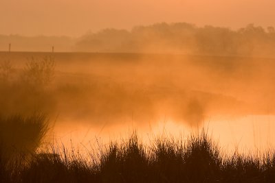 Ground fog at sunrise
