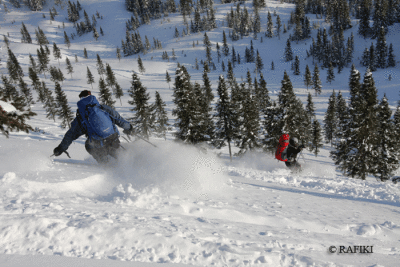 Photo-107.gif