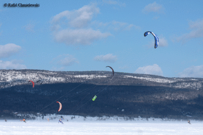 Photo-856.gif