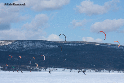 Photo-940.gif