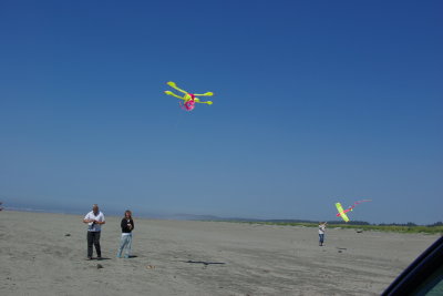 Dave Sapph Helen and kites