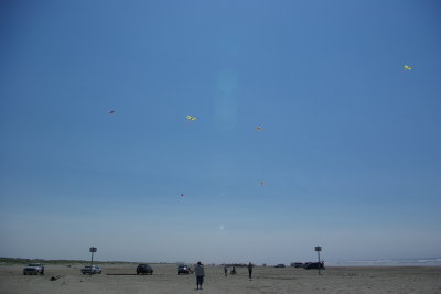 All the kites
