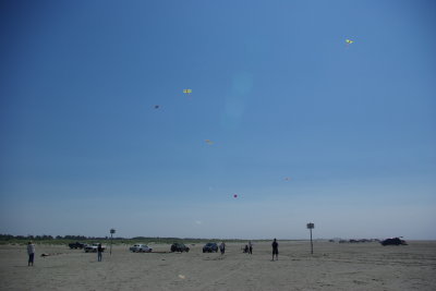 All the kites