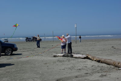 Flying kites