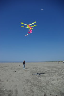 Sapph and kite 2