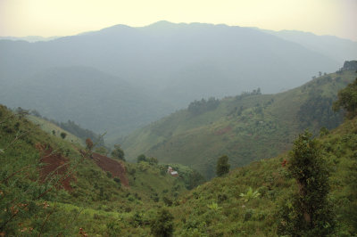 Bwindi