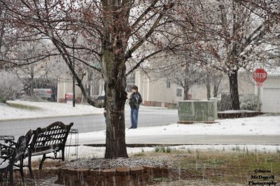 DSC_1345.JPG