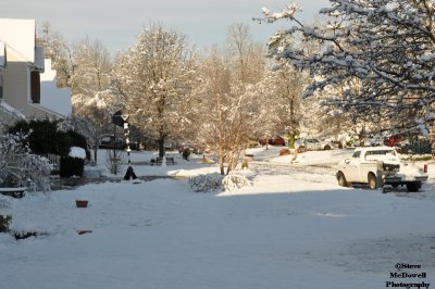DSC_1386.JPG
