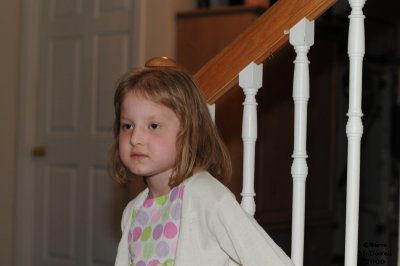2009 11 26_0178.jpg