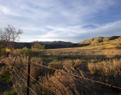 Nature preserve, sunrise, Campo