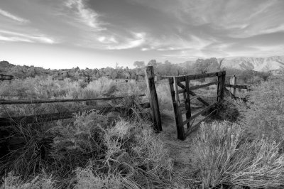 Pasture, Alabama Hills