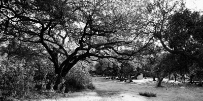 County park, sunrise, Campo