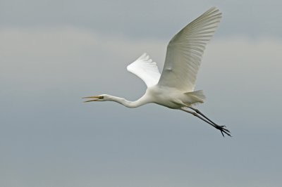 g3/65/908365/3/119833067.zS9pWn6Q.jpg