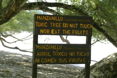 Manzanillo warning.jpg