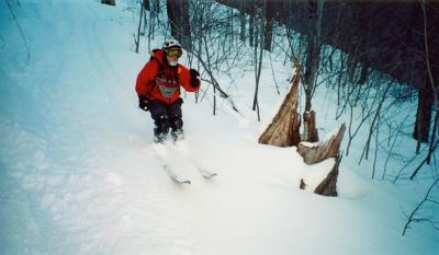 mschwoods