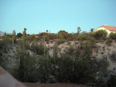 Rick Ansaldi's new home - Backyard