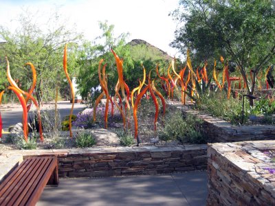 Desert Botanical Garden - Chihuli: The Nature of Glass