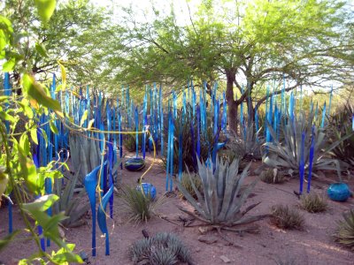 Desert Botanical Garden - Chihuli: The Nature of Glass