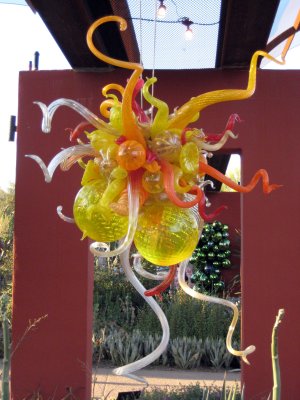 Desert Botanical Garden - Chihuli: The Nature of Glass