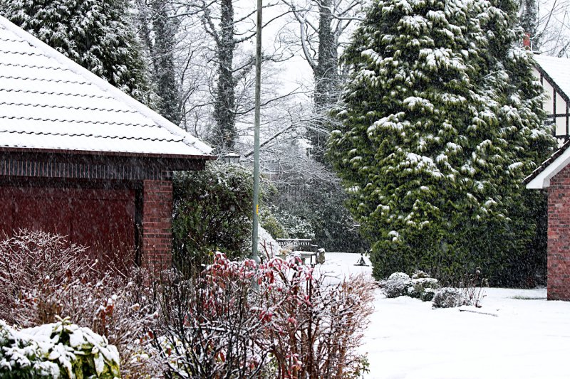 Steady snow fall this morning, so this is taken from my front garden looking across the road.