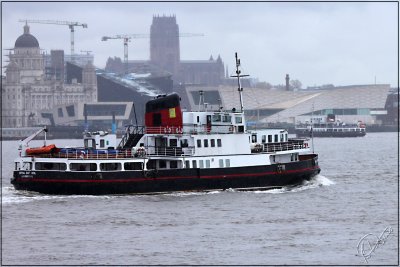 Royal Daffodil and Snowdrop on the Mersey