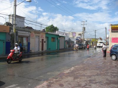 174.jpg